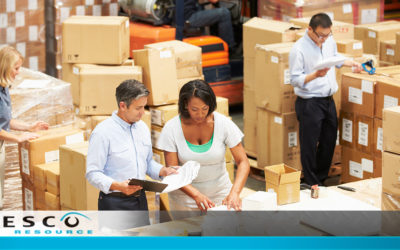 How to Put Together a Successful Warehouse Team